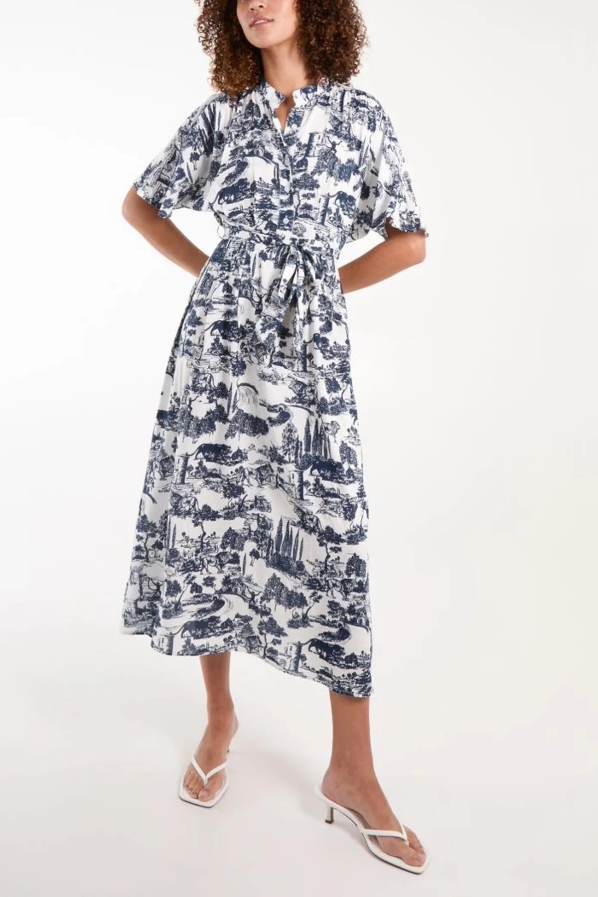 Provence Toile Print Midi Dress