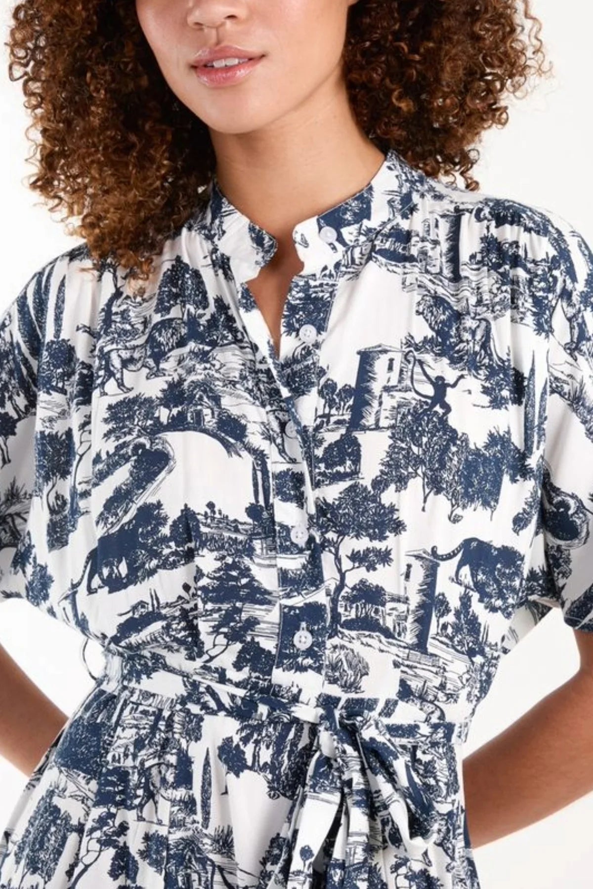 Provence Toile Print Midi Dress