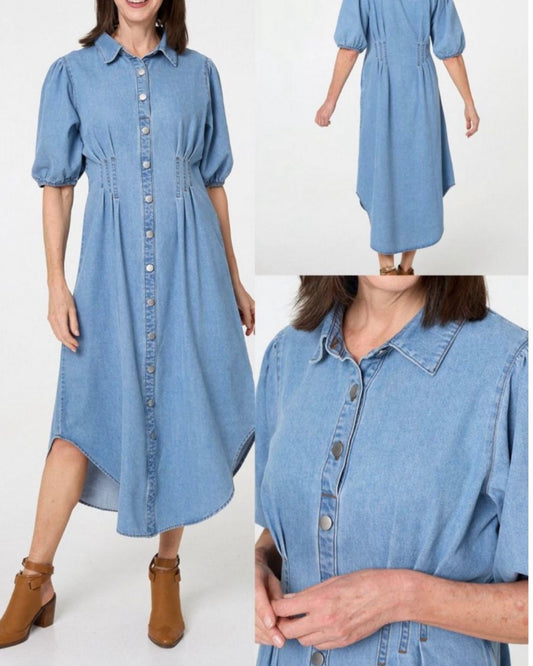 Vanda Denim Shirt Dress