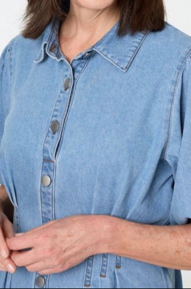 Vanda Denim Shirt Dress