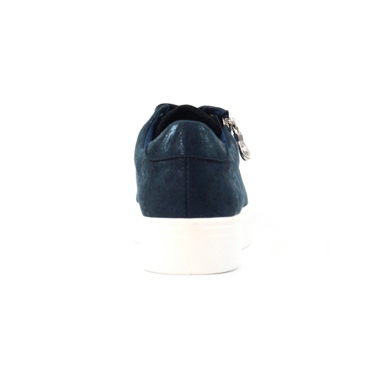 Lunar Haywood Trainer