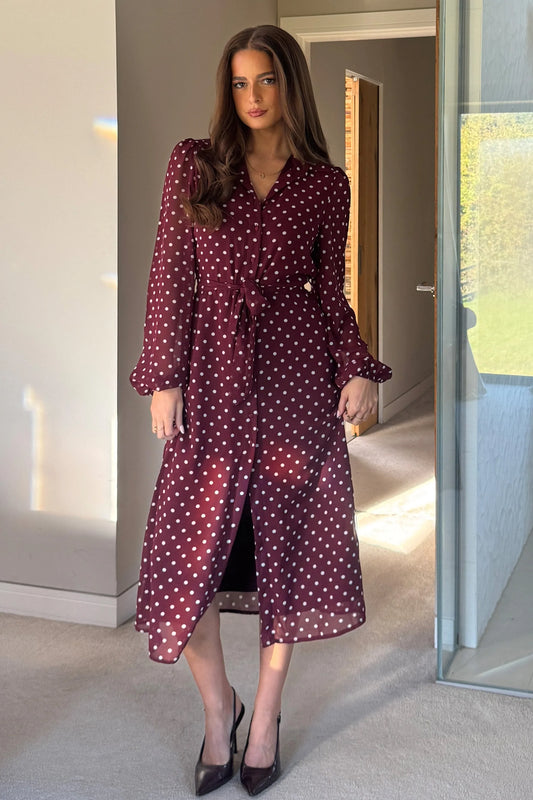 Kendra Polka Dot Shirt Dress