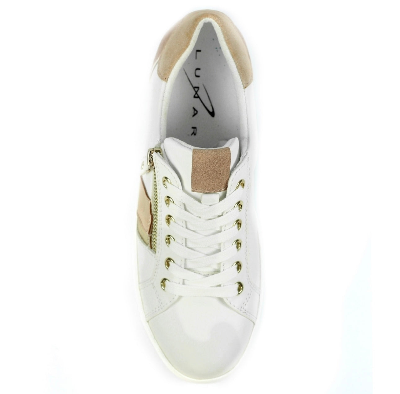 Lunar Angelica Trainer