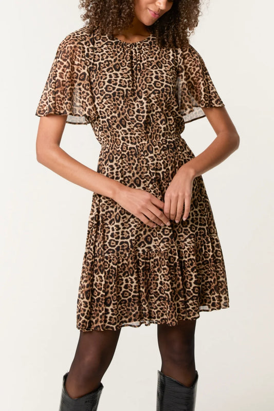 Ailsa Animal Print Flutter Sleeve Dress